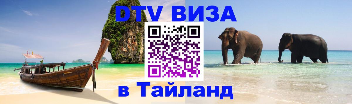 Оформление DTV визы под ключ: стоимость и тарифы, только загранпаспорт - 08.01.2026 